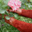 Rutschfeste, wärmeisolierende Gartenhandschuhe 4