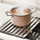 Compacts Foldable Dish Rack For Efficient Water Drainages In-XS 3