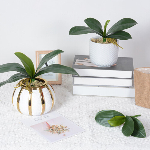 Τεχνητά πράσινα φύλλα ορχιδέας Phalaenopsis από τεχνητό δέρμα, σύνθεση με φυτά από 2