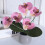 Τεχνητά πράσινα φύλλα ορχιδέας Phalaenopsis από τεχνητό δέρμα, σύνθεση με φυτά από 5