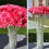 Künstlicher Seiden-Gerbera-Gänseblümchenstrauß (1 Stück) 3