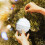 Taotanxi Christmas Ball Set White 3.15" 3-Pack 2