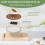 Kitchen draining and storage basket with foldable handle 2