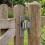 Thick Wall 304 Steel Hinge Extra Thick Hinge for Heavy-1 pack 7