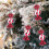 Palline di Natale decorative da appendere all'albero, 12 pezzi 2