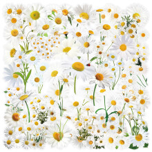 Autocollant thème fleur en PET, 100 pièces, pour-da isy