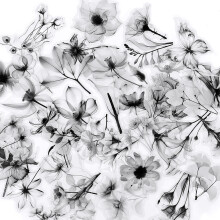 100Pcs Flower Theme Journaling Sticker- black and white