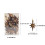 Plastic Christmas Tree Ornament Star Set – Coffee 3