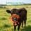 Flexible Rubber Weaning Aid Allows Gentle Change For Growing-2 3