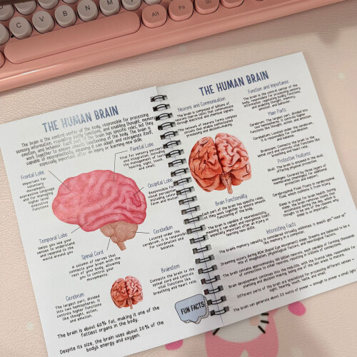 Student Friendly Anatomy Practice Book Guidebook Covering 1