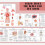 Human Anatomy Visual Guide Workbook With Detailed Illustrations 5