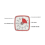 60-Minute Timer, Classroom Classroom Timer, Countdown Timer for Kids and Adults, Time Management Tool for Teaching 3