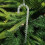 Clear Acrylic Icicle Christmas Tree Ornaments (12 pcs) 5