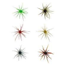 6PCS Realistic Floating Fishing Lures Designs To Improve-small