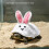 Decorative Shell Crocheted Clothing for Turtles Ideal for-S 3