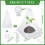 Les protecteurs de plantes transparents forment des mini serres 3
