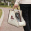 Multiuse Travel Boot Bag 4Pcs Dustproof Shoe Organiser-brown 6