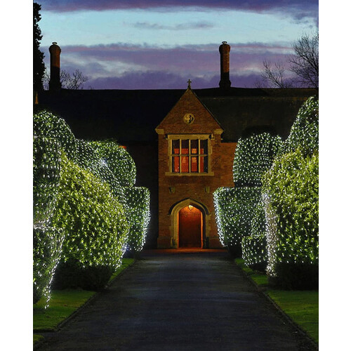 Fairy Mesh Lights Outdoor Cool White 5x5ft 96 LED 1