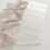 100 pcs Frosted Acrylic Seat Tags 2