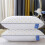 Hotel-Grade Pillowtop Mattress Soft Supportive Cotton Fabric 4