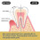 (1) 1-5x Bee Venom Toothpaste, Bee Venom Gum Protection Toothpaste, Gingivitis Treatment Repair Toothpaste just 4