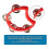 20Pcs Plastic Tambourine Musical Instruments 5
