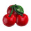 Resin Fruit Fridge Magnets 3D Refrigerator Decor Set 2
