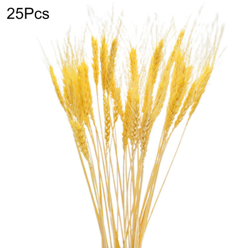 25 Talos de Trigo Seco Boêmio de 50cm 1