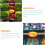 100 Stück Preisschilder aus Papier für Supermarktartikel 6