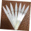 50pcs Fan Shaped Nail Palette False Nail Display Cards Practice Sticks 3