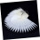 50pcs Fan Shaped Nail Palette False Nail Display Cards Practice Sticks 5