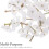 100pcs Wall Masonry Nails Silver Metal Thumbtacks for DIY Project with Versatile Tool 3