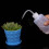 500 ml tuinsproeier, plantensproeier, mini-sproeifles 2