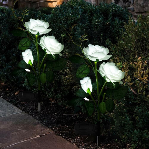 Rosette solari a LED per giardino esterno (confezione da 2) 1