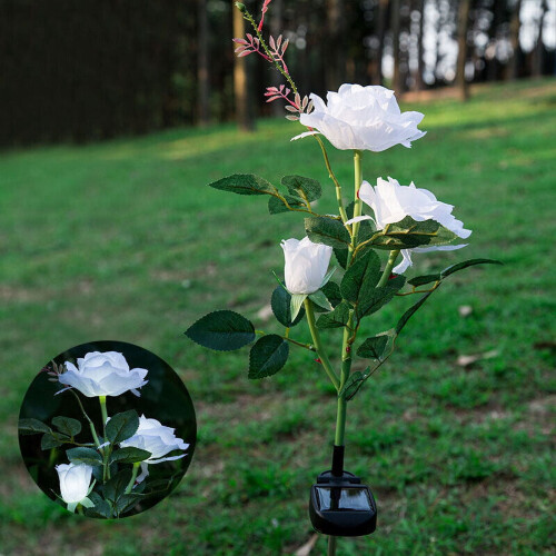 Rosette solari a LED per giardino esterno (confezione da 2) 2