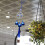 Blue Eyes Metal Wind Chimes with Tassel and Bell 4
