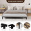 Modern Metal Platform Bed Frame – Full, Matte Black 3