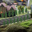 24pcs Miniature Simulated Trees Set for Model Railway Scenery, 7.5cm–9.5cm Mini Trees Models 7
