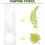 24pcs DIY Stencils Multi-Function Flower Plants Painting Stencils White Pet Material Easy 5
