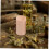 5-delige aromatherapie diffuser set van hout: kleine etherische olie diffuser cilinders van beukenhout. 6