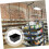 101pcs Pegboard Hook Set Trays Display Rack for Organizing Tools and Equipment Easy to Install 6