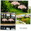 8pcs Miniature Cherry Blossom Trees Mini Garden Decoration Simulation Tree Ornaments 4