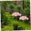 8pcs Miniature Cherry Blossom Trees Mini Garden Decoration Simulation Tree Ornaments 5