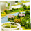 8pcs Miniature Cherry Blossom Trees Mini Garden Decoration Simulation Tree Ornaments 6
