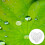 Adesivos de Dewdrop de resina de 700pcs para arte das unhas e scrapbooking, autoadesivos 5