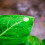 Adesivos de Dewdrop de resina de 700pcs para arte das unhas e scrapbooking, autoadesivos 6