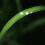 Adesivos de Dewdrop de resina de 700pcs para arte das unhas e scrapbooking, autoadesivos 8