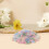 600pcs Oval Acrylic Linking Rings Quick Link Connectors 14x20mm Assorted Candy Colors 5