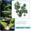 7Pcs Miniature Tree Model Scenery Model Simulation Trees PVC Realistic Shape 2
