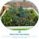 7Pcs Miniature Tree Model Scenery Model Simulation Trees PVC Realistic Shape 4